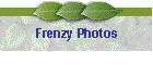 Frenzy Photos