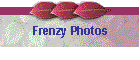 Frenzy Photos